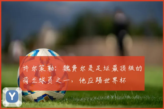 许尔策勒：魏费尔是足坛最顶级的荷兰球员之一，他应踢世界杯