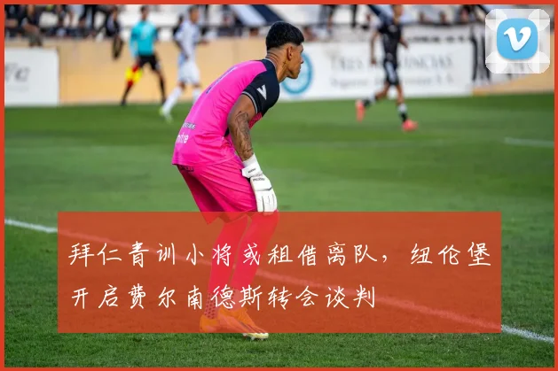 拜仁青训小将或租借离队，纽伦堡开启费尔南德斯转会谈判
