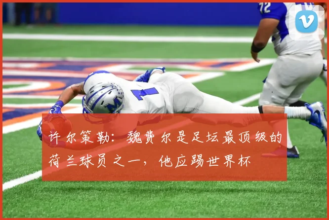 许尔策勒：魏费尔是足坛最顶级的荷兰球员之一，他应踢世界杯